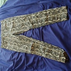 Snake Print Denim Skinny Jeans